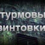 ШТУРМОВЫЕ ВИНТОВКИ - Point Blank