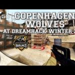 Cph Wolves на Dreamhack Winter - фрагмуви